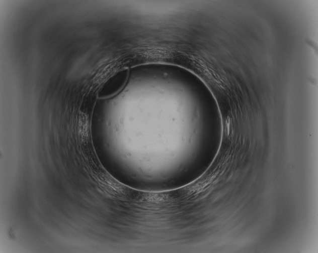 X0000097591251200802291210