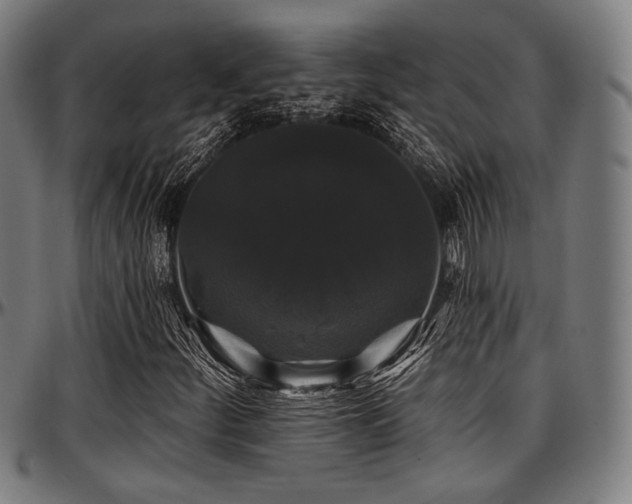 X0000097591252200802291210