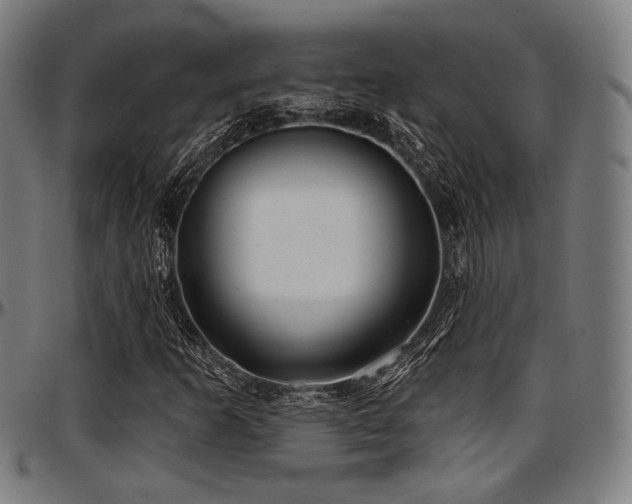 X0000097591253200802291210