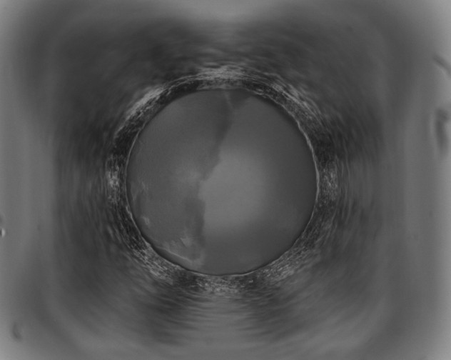 X0000097591254200802291210