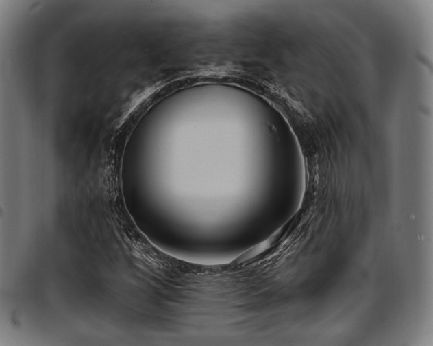X0000097591256200802291210
