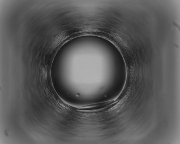 X0000097591257200802291210