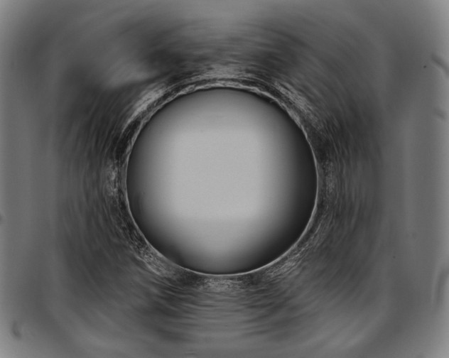 X0000097591258200802291210