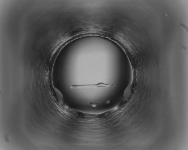 X0000097591260200802291210