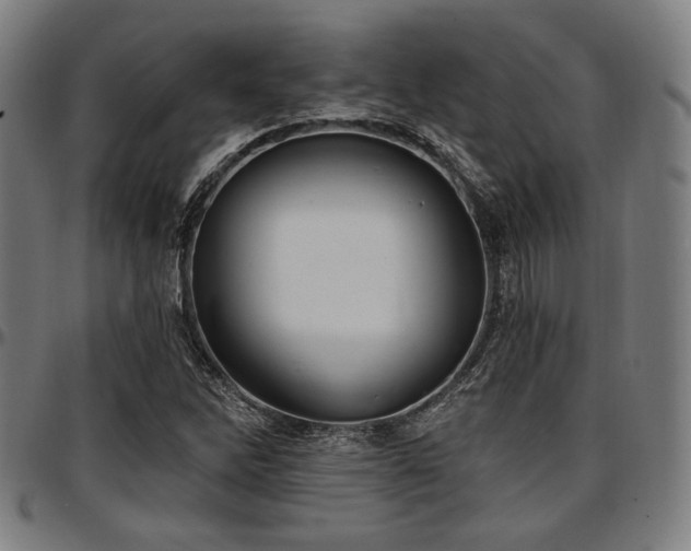 X0000097591262200802291210