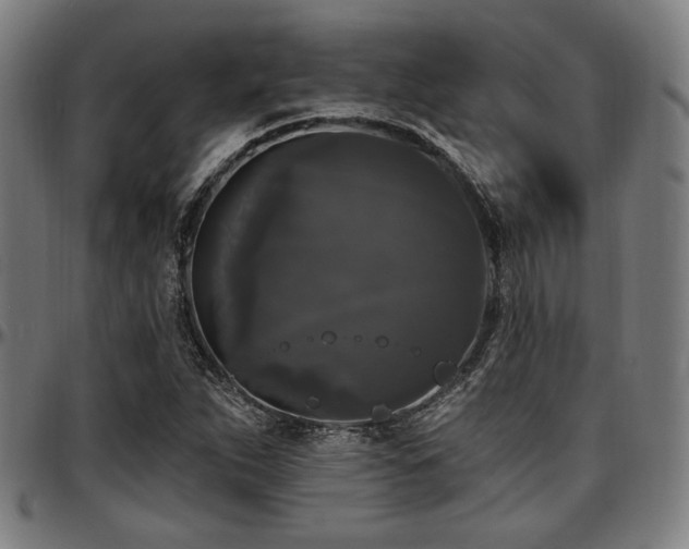X0000097591263200802291210