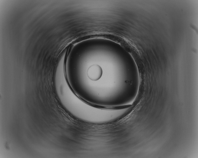 X0000097591265200802291210