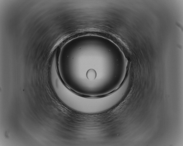 X0000097591266200802291210