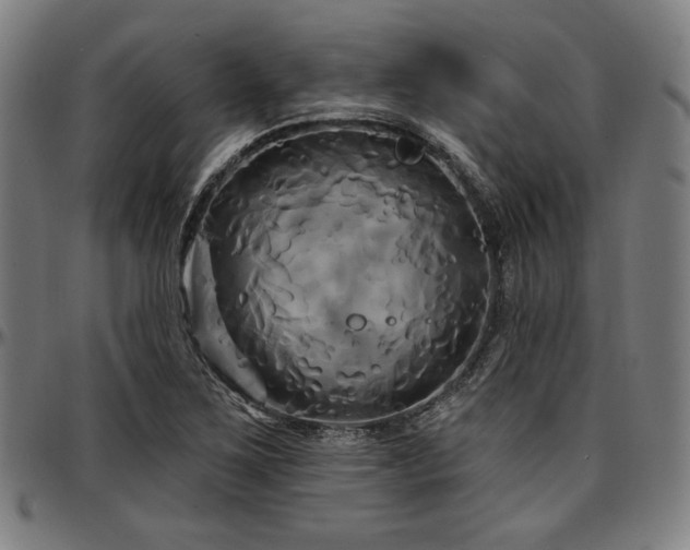 X0000097591267200802291210