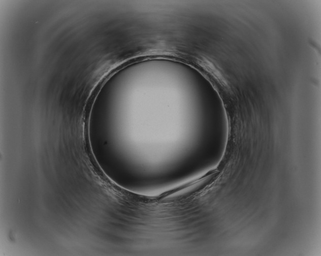 X0000097591268200802291210