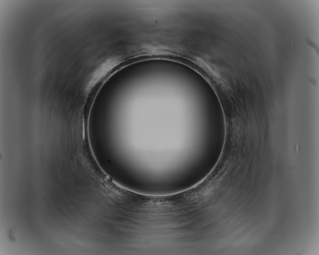 X0000097591269200802291210