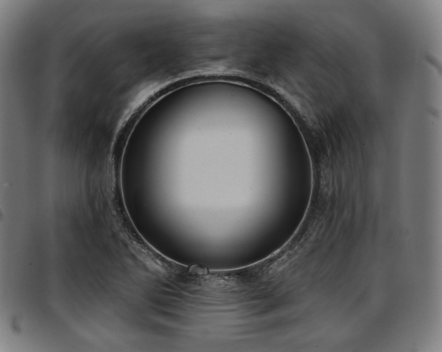 X0000097591270200802291210
