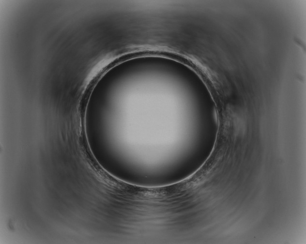 X0000097591271200802291210