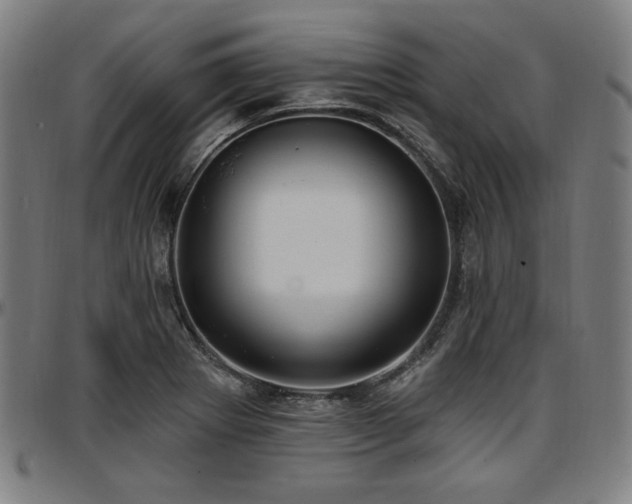X0000097591273200802291210