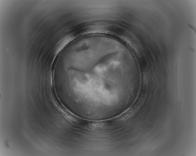 X0000097591274200802291210