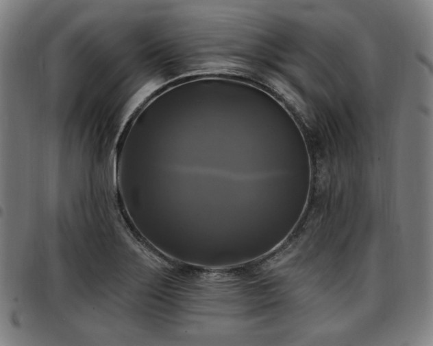 X0000097591275200802291210