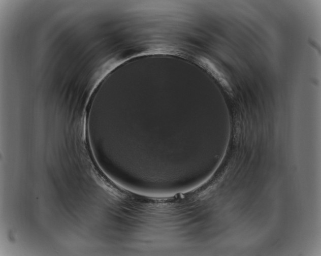 X0000097591276200802291210