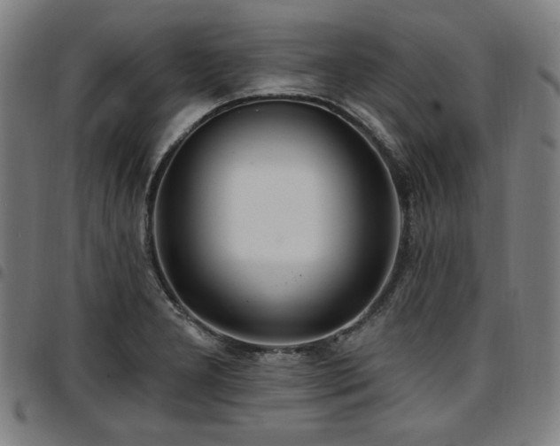 X0000097591277200802291210