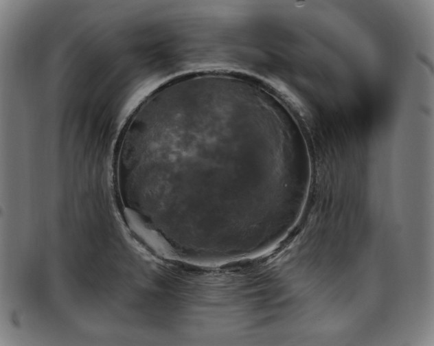 X0000097591279200802291210