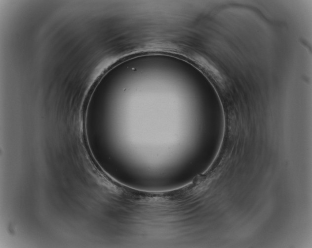 X0000097591280200802291210