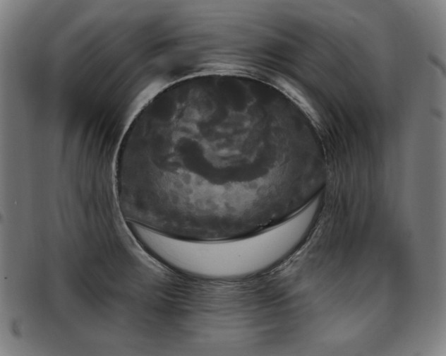 X0000097591283200802291210