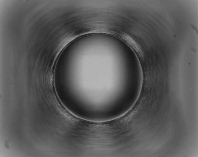 X0000097591284200802291210