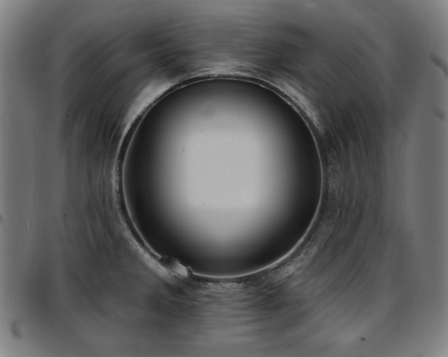 X0000097591285200802291210
