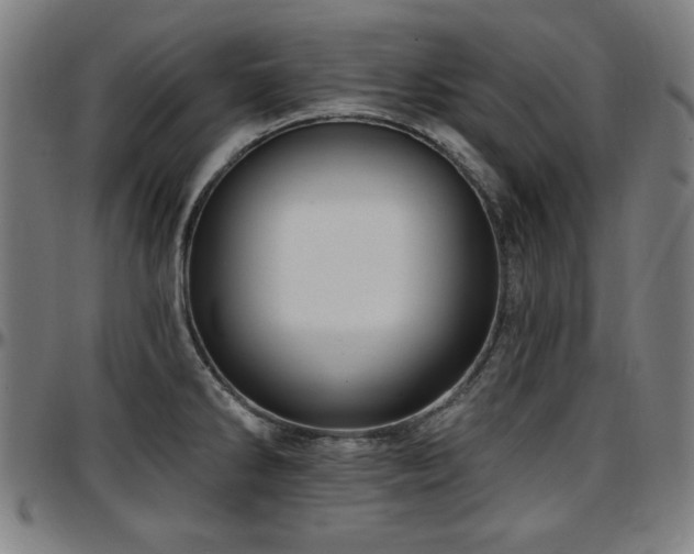 X0000097591286200802291210