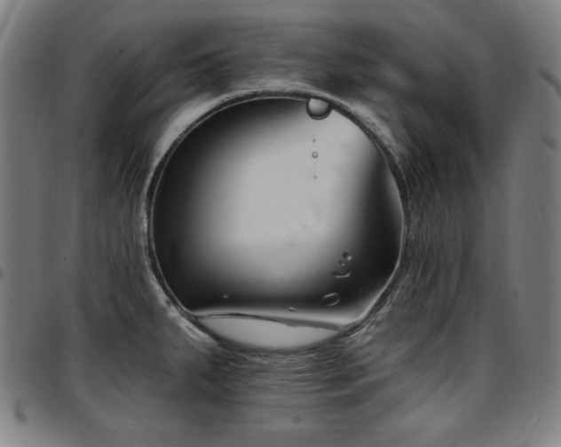 X0000097591287200802291210