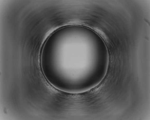 X0000097591288200802291210