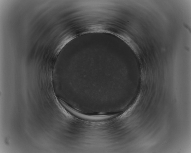 X0000097591289200802291210