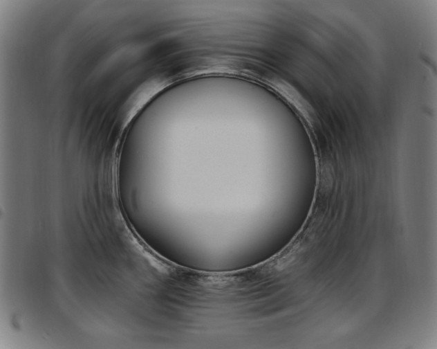 X0000097591290200802291210