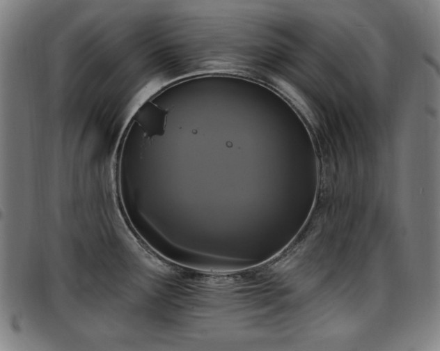 X0000097591291200802291210