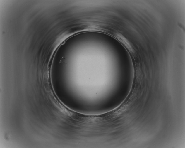 X0000097591292200802291210