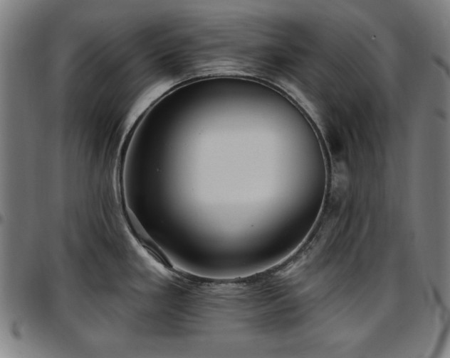 X0000097591293200802291210