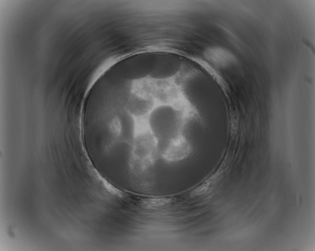 X0000097591294200802291209