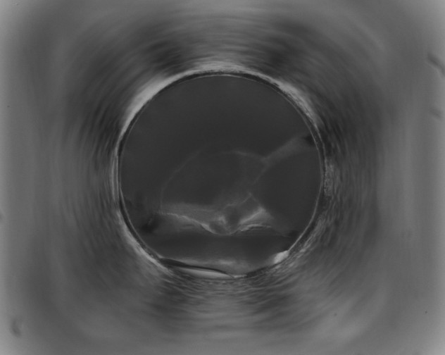 X0000097591295200802291209