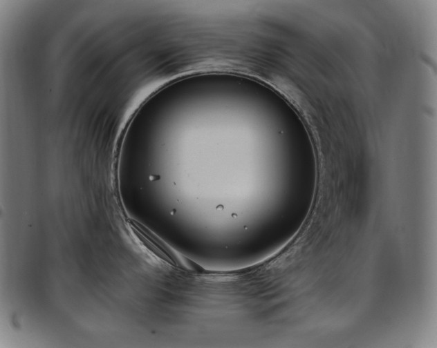 X0000097591296200802291209