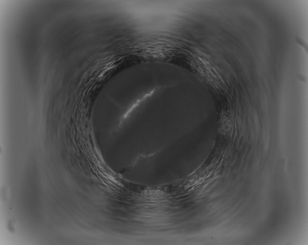X0000097591297200802291209