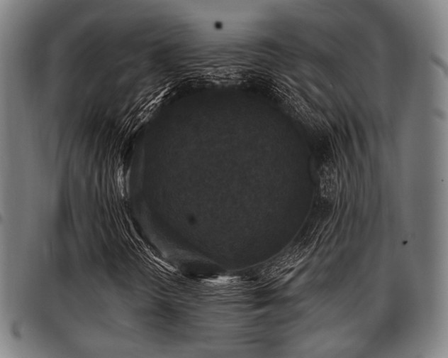 X0000097591298200802291209