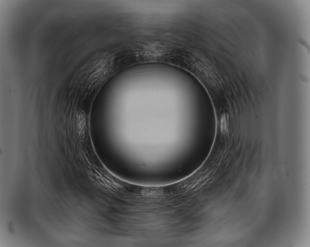 X0000097591299200802291209