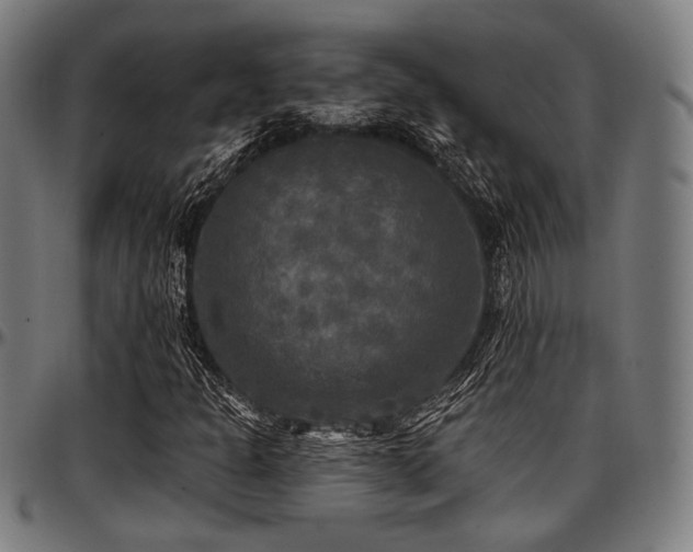 X0000097591301200802291209