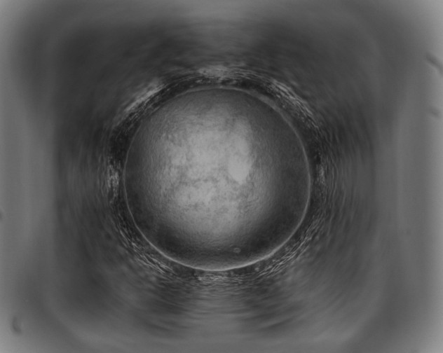 X0000097591302200802291209