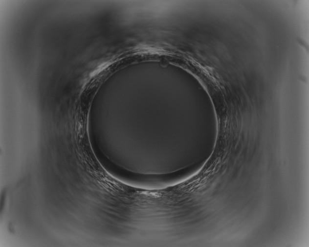 X0000097591303200802291209