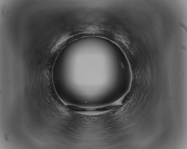 X0000097591304200802291209