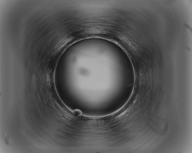 X0000097591305200802291209