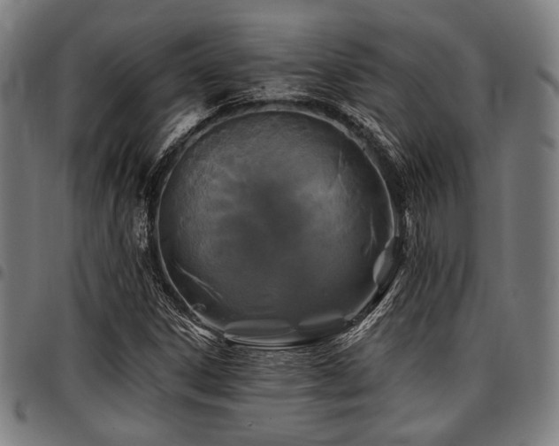 X0000097591306200802291209
