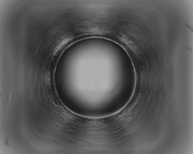 X0000097591307200802291209