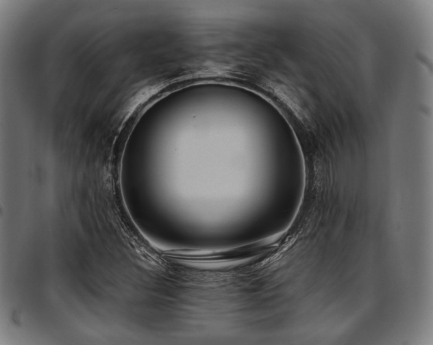 X0000097591308200802291209