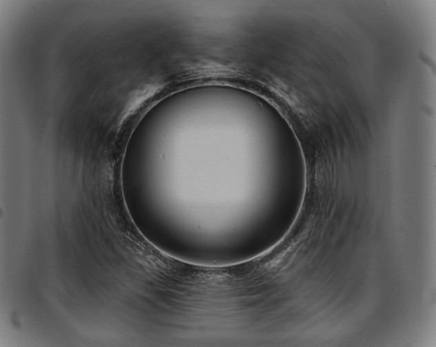 X0000097591309200802291209